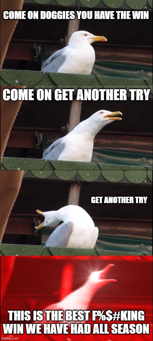 Inhaling Seagull Meme | COME ON DOGGIES YOU HAVE THE WIN; COME ON GET ANOTHER TRY; GET ANOTHER TRY; THIS IS THE BEST F%$#KING WIN WE HAVE HAD ALL SEASON | image tagged in memes,inhaling seagull | made w/ Imgflip meme maker