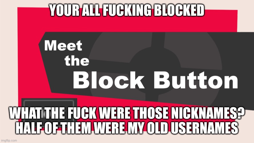 jk your not blocked but still, what the actual fuck? | YOUR ALL FUCKING BLOCKED; WHAT THE FUCK WERE THOSE NICKNAMES? HALF OF THEM WERE MY OLD USERNAMES | image tagged in meet the block button | made w/ Imgflip meme maker