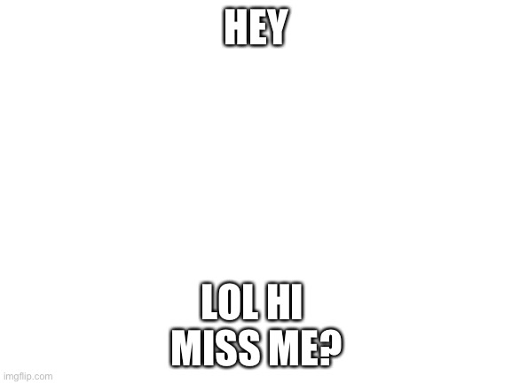 Blank White Template | HEY; LOL HI 
MISS ME? | image tagged in blank white template | made w/ Imgflip meme maker