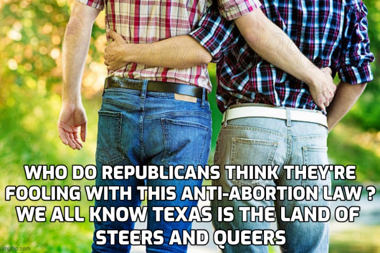 image tagged in lgbtq,abortion,texas,steers and queers,greg abbott,clown car republicans | made w/ Imgflip meme maker