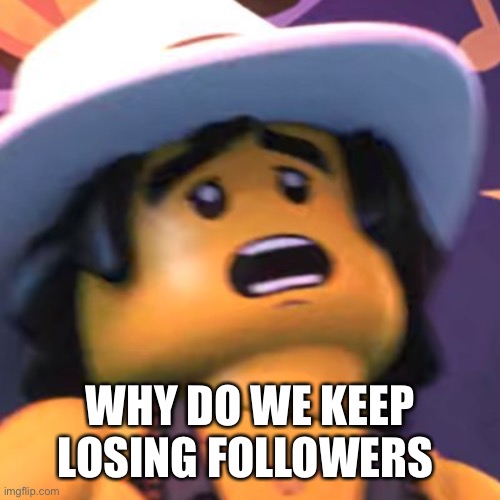 Cole | WHY DO WE KEEP LOSING FOLLOWERS | image tagged in cole | made w/ Imgflip meme maker