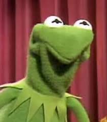 High Quality Confused & Embarrased Kermit Blank Meme Template