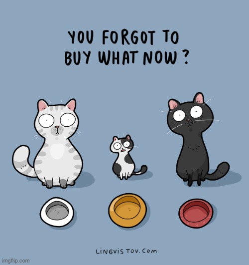 A Cat's Way Of Thinking | image tagged in memes,comics,cats,empty,dishes,oh no you didn't | made w/ Imgflip meme maker