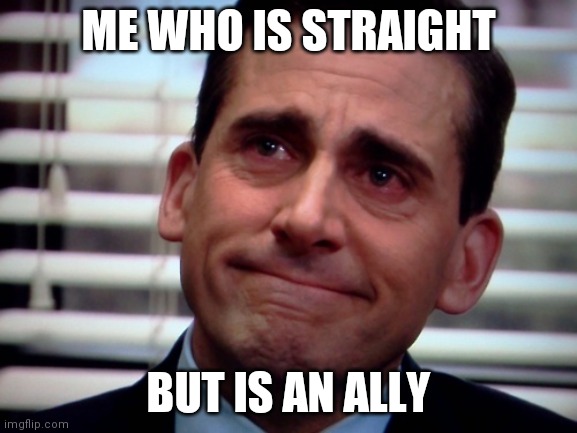 crying steve carell | ME WHO IS STRAIGHT BUT IS AN ALLY | image tagged in crying steve carell | made w/ Imgflip meme maker