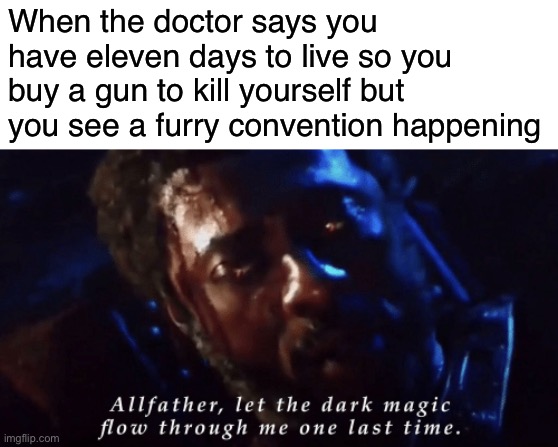 This stream is dead.  I’m so sad. | When the doctor says you have eleven days to live so you buy a gun to kill yourself but you see a furry convention happening | image tagged in heimdall infinity war meme,funny | made w/ Imgflip meme maker