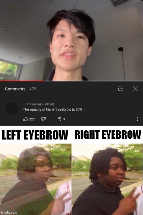 RIGHT EYEBROW; LEFT EYEBROW | image tagged in memes,roast,insults | made w/ Imgflip meme maker