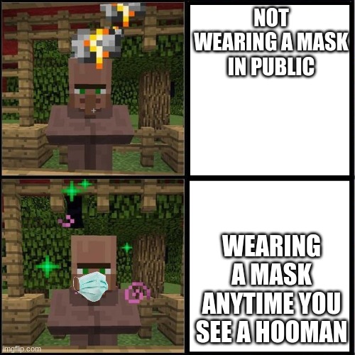 Please Do... | NOT WEARING A MASK IN PUBLIC; WEARING A MASK ANYTIME YOU SEE A HOOMAN | image tagged in drake meme but it's the minecraft villager,coronavirus | made w/ Imgflip meme maker