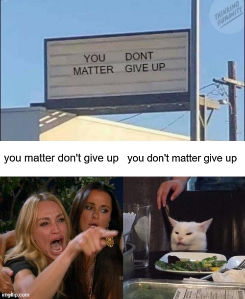 you matter don't give up; you don't matter give up | image tagged in memes,woman yelling at cat | made w/ Imgflip meme maker