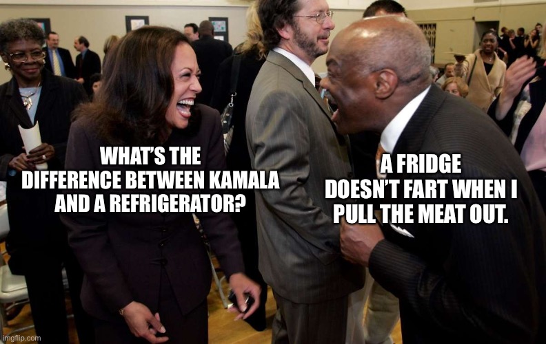 Kamala is one frigid woman | A FRIDGE DOESN’T FART WHEN I PULL THE MEAT OUT. WHAT’S THE DIFFERENCE BETWEEN KAMALA AND A REFRIGERATOR? | image tagged in kamala harris and willie brown,bedroom,bathroom humor,bad joke,fridge | made w/ Imgflip meme maker