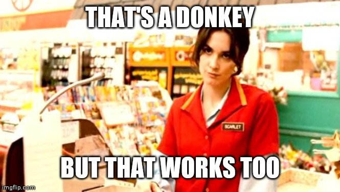 Cashier Meme | THAT'S A DONKEY BUT THAT WORKS TOO | image tagged in cashier meme | made w/ Imgflip meme maker