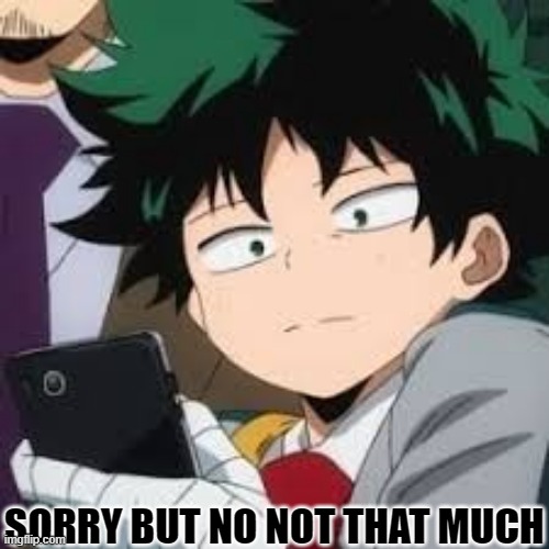 Deku dissapointed | SORRY BUT NO NOT THAT MUCH | image tagged in deku dissapointed | made w/ Imgflip meme maker