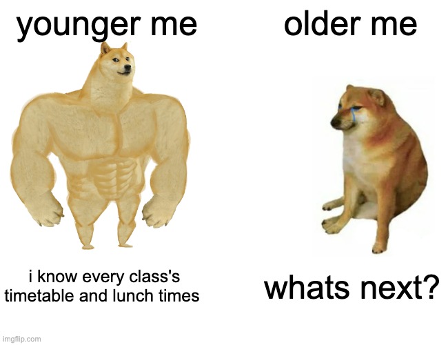 school | younger me; older me; i know every class's timetable and lunch times; whats next? | image tagged in memes,buff doge vs cheems | made w/ Imgflip meme maker