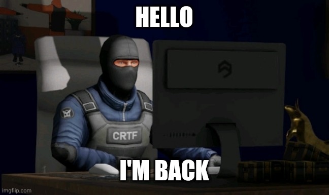 counter-terrorist looking at the computer | HELLO; I'M BACK | image tagged in computer | made w/ Imgflip meme maker