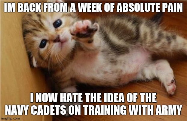 Help Me Kitten | IM BACK FROM A WEEK OF ABSOLUTE PAIN; I NOW HATE THE IDEA OF THE NAVY CADETS ON TRAINING WITH ARMY | image tagged in help me kitten | made w/ Imgflip meme maker