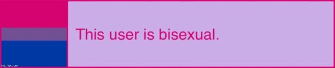 This user is bisexual | image tagged in this user is bisexual | made w/ Imgflip meme maker