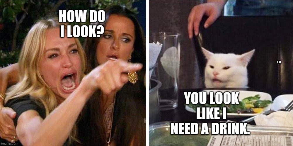 Smudge the cat | HOW DO I LOOK? YOU LOOK LIKE I NEED A DRINK. J M | image tagged in smudge the cat | made w/ Imgflip meme maker