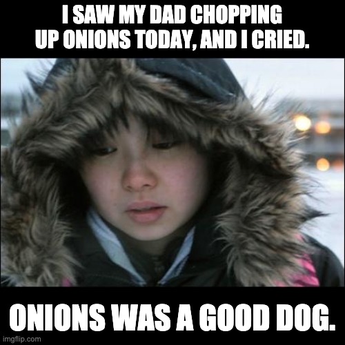 Onions | I SAW MY DAD CHOPPING UP ONIONS TODAY, AND I CRIED. ONIONS WAS A GOOD DOG. | image tagged in asian kid cry | made w/ Imgflip meme maker