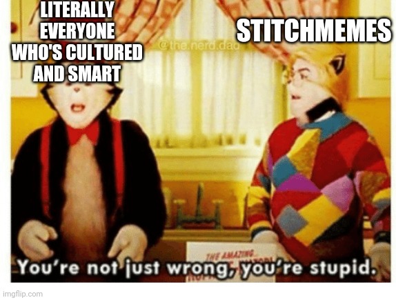 You're not just wrong your stupid | LITERALLY EVERYONE WHO'S CULTURED AND SMART STITCHMEMES | image tagged in you're not just wrong your stupid | made w/ Imgflip meme maker