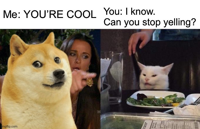 Yeah sorry I got a little loud | Me: YOU’RE COOL; You: I know. Can you stop yelling? | image tagged in memes,woman yelling at cat | made w/ Imgflip meme maker