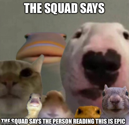 You heard the council | THE SQUAD SAYS; THE SQUAD SAYS THE PERSON READING THIS IS EPIC | image tagged in the council remastered | made w/ Imgflip meme maker