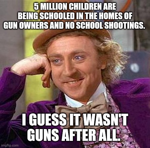 Haven't heard of one incident. | 5 MILLION CHILDREN ARE BEING SCHOOLED IN THE HOMES OF GUN OWNERS AND NO SCHOOL SHOOTINGS. I GUESS IT WASN'T GUNS AFTER ALL. | image tagged in memes | made w/ Imgflip meme maker