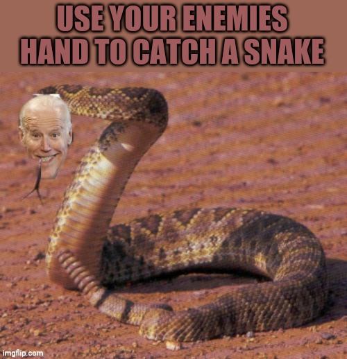 USE YOUR ENEMIES HAND TO CATCH A SNAKE | made w/ Imgflip meme maker