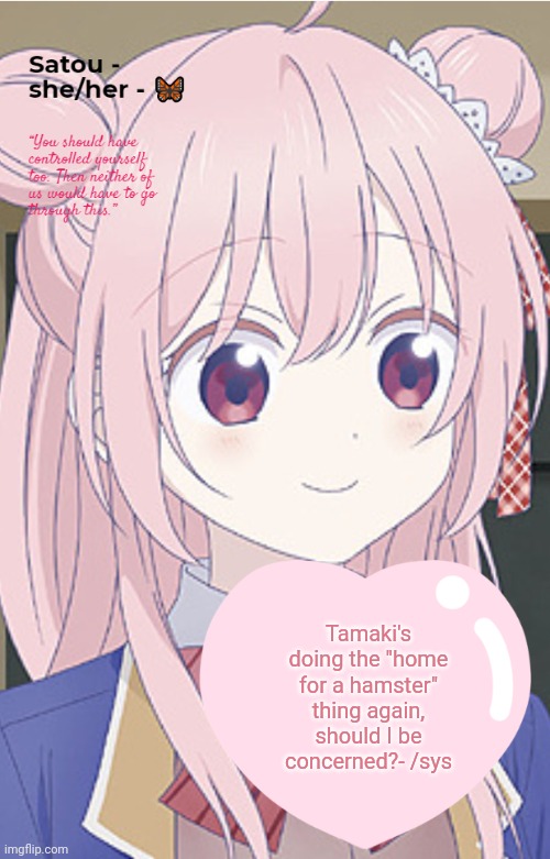 Satou | Tamaki's doing the "home for a hamster" thing again, should I be concerned?- /sys | image tagged in satou | made w/ Imgflip meme maker