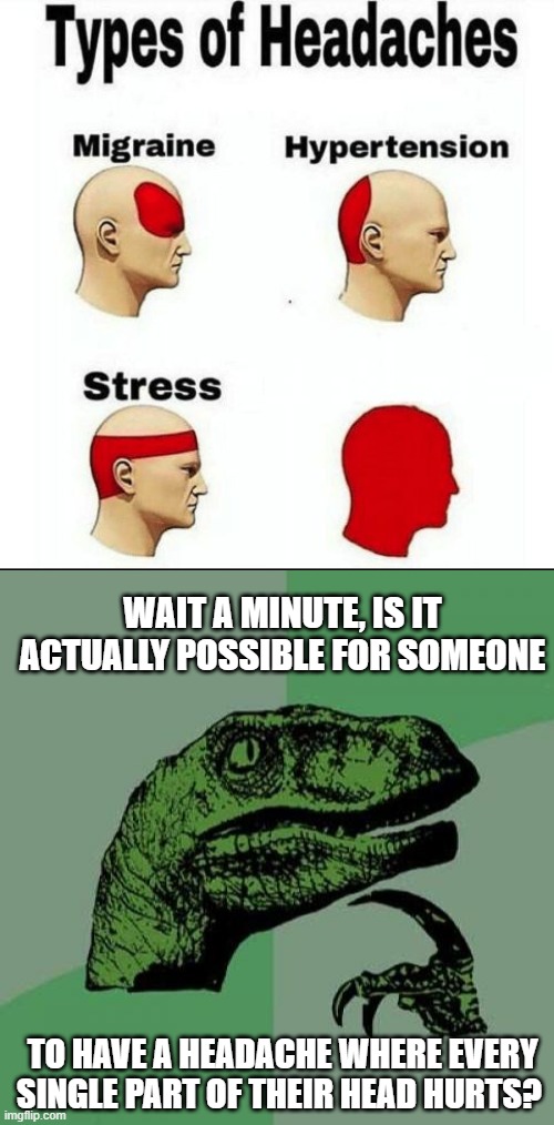 WAIT A MINUTE, IS IT ACTUALLY POSSIBLE FOR SOMEONE; TO HAVE A HEADACHE WHERE EVERY SINGLE PART OF THEIR HEAD HURTS? | image tagged in types of headaches meme,memes,philosoraptor | made w/ Imgflip meme maker