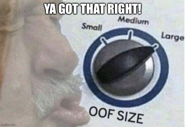 Oof size large | YA GOT THAT RIGHT! | image tagged in oof size large | made w/ Imgflip meme maker