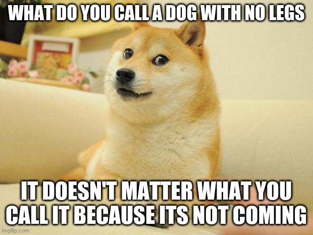 Doge 2 | WHAT DO YOU CALL A DOG WITH NO LEGS; IT DOESN'T MATTER WHAT YOU CALL IT BECAUSE ITS NOT COMING | image tagged in memes,doge 2 | made w/ Imgflip meme maker