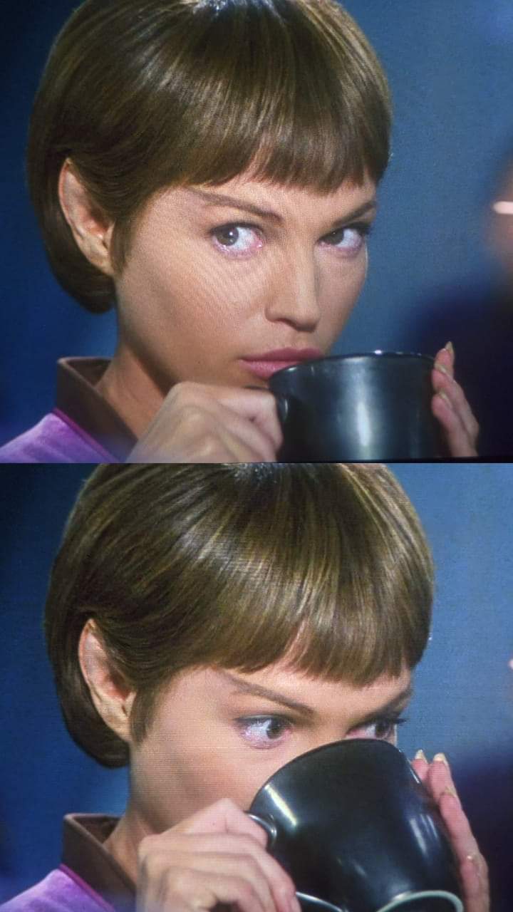 T'pol Tea Blank Meme Template