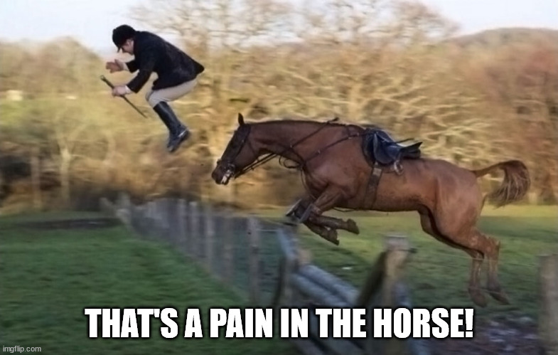That's A Pain In The Horse! | THAT'S A PAIN IN THE HORSE! | image tagged in that's a pain in the horse | made w/ Imgflip meme maker