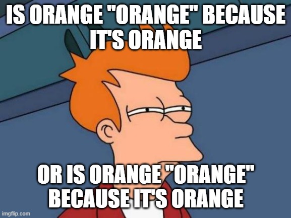 Futurama Fry | IS ORANGE "ORANGE" BECAUSE
IT'S ORANGE; OR IS ORANGE "ORANGE" BECAUSE IT'S ORANGE | image tagged in memes,futurama fry,lol | made w/ Imgflip meme maker