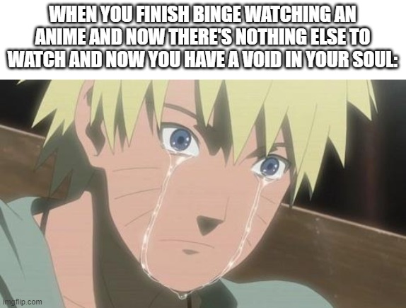 true | WHEN YOU FINISH BINGE WATCHING AN ANIME AND NOW THERE'S NOTHING ELSE TO WATCH AND NOW YOU HAVE A VOID IN YOUR SOUL: | image tagged in finishing anime | made w/ Imgflip meme maker