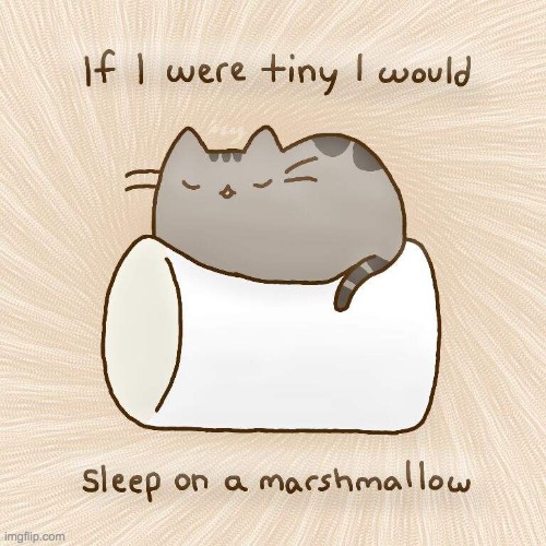A cat's way of thinking | image tagged in memes,comics | made w/ Imgflip meme maker