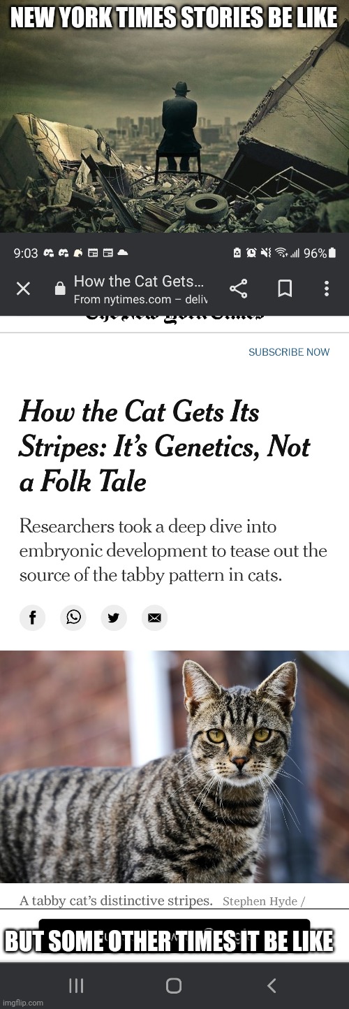 Seriously? Genetics as the main headline? | NEW YORK TIMES STORIES BE LIKE; BUT SOME OTHER TIMES IT BE LIKE | image tagged in end of the world,new york times | made w/ Imgflip meme maker