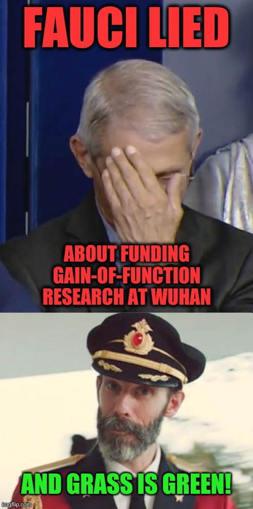 Prosecute the son of a bitch! | FAUCI LIED; ABOUT FUNDING GAIN-OF-FUNCTION RESEARCH AT WUHAN; AND GRASS IS GREEN! | image tagged in dr fauci,captain obvious,memes,coronavirus,covid-19,wuhan | made w/ Imgflip meme maker
