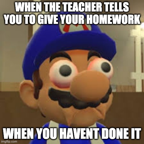 Smg4 Oh Shit | WHEN THE TEACHER TELLS YOU TO GIVE YOUR HOMEWORK; WHEN YOU HAVENT DONE IT | image tagged in smg4 oh shit | made w/ Imgflip meme maker