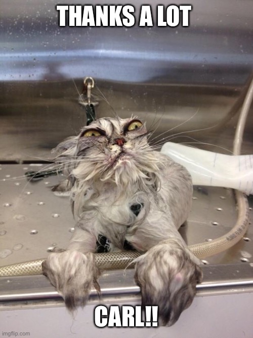 Angry Wet Cat | THANKS A LOT CARL!! | image tagged in angry wet cat | made w/ Imgflip meme maker