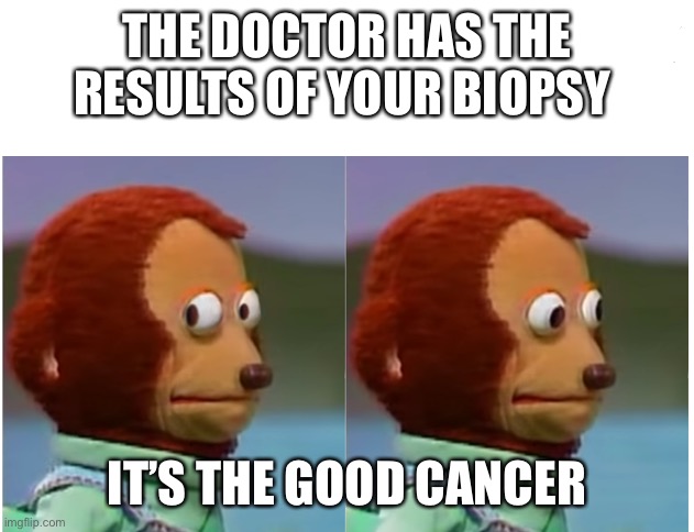 Monkey puppet looking away good quality | THE DOCTOR HAS THE RESULTS OF YOUR BIOPSY; IT’S THE GOOD CANCER | image tagged in monkey puppet looking away good quality | made w/ Imgflip meme maker