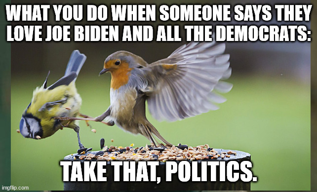 Take That, Politics. | WHAT YOU DO WHEN SOMEONE SAYS THEY LOVE JOE BIDEN AND ALL THE DEMOCRATS:; TAKE THAT, POLITICS. | image tagged in fun | made w/ Imgflip meme maker
