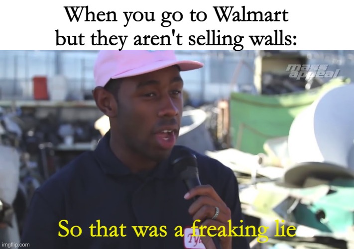 They lied | When you go to Walmart but they aren't selling walls:; So that was a freaking lie | image tagged in so that was a lie censored | made w/ Imgflip meme maker