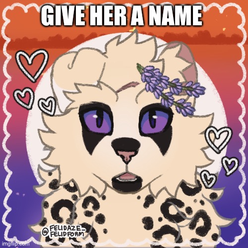 GIVE HER A NAME | made w/ Imgflip meme maker