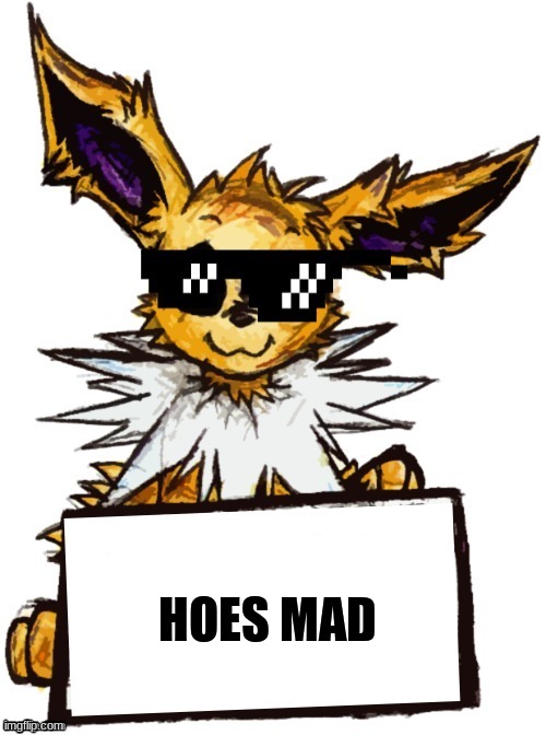 HOES MAD | made w/ Imgflip meme maker