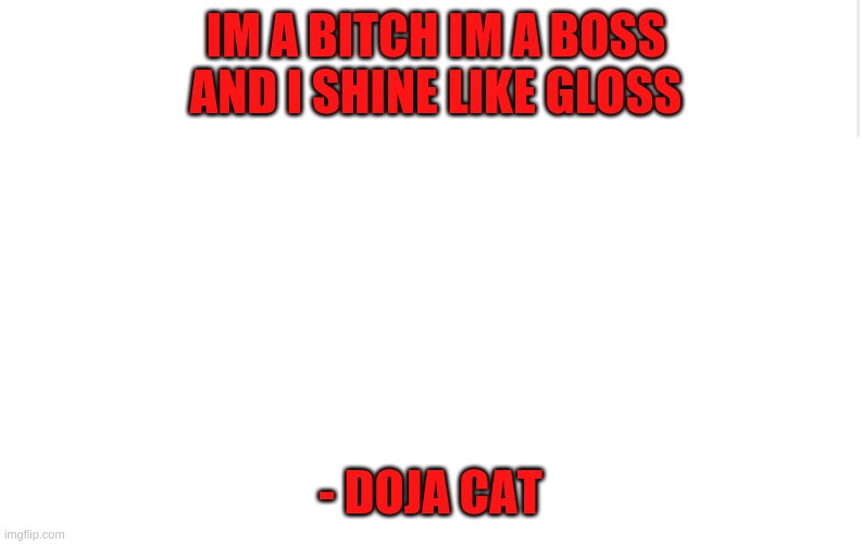 Blank meme template | IM A BITCH IM A BOSS AND I SHINE LIKE GLOSS; - DOJA CAT | image tagged in blank meme template | made w/ Imgflip meme maker