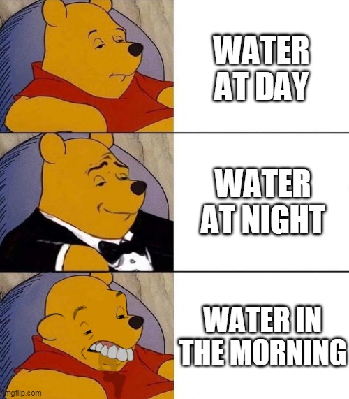 hate morning water | WATER AT DAY; WATER AT NIGHT; WATER IN THE MORNING | image tagged in best better blurst | made w/ Imgflip meme maker