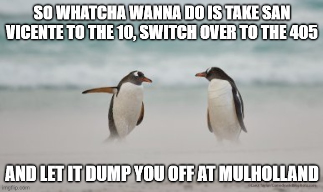 Cali Directions | SO WHATCHA WANNA DO IS TAKE SAN VICENTE TO THE 10, SWITCH OVER TO THE 405; AND LET IT DUMP YOU OFF AT MULHOLLAND | image tagged in california,directions,penguins | made w/ Imgflip meme maker