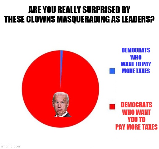 Taxes....its the other guy's problem if you are a Democrat right? | ARE YOU REALLY SURPRISED BY THESE CLOWNS MASQUERADING AS LEADERS? DEMOCRATS WHO WANT TO PAY MORE TAXES; DEMOCRATS WHO WANT YOU TO PAY MORE TAXES | image tagged in circle graph,taxes,democrats,liberal logic,liberal hypocrisy | made w/ Imgflip meme maker