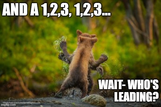 Dancing Bears |  AND A 1,2,3, 1,2,3... WAIT- WHO'S
LEADING? | image tagged in bear,cubs,funny dancing,dancing,bears | made w/ Imgflip meme maker