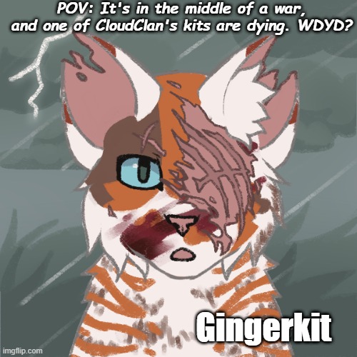 ow. lil' boi ain't taking this very well, is he? he's not going to give up, though.. | POV: It's in the middle of a war, and one of CloudClan's kits are dying. WDYD? Gingerkit | made w/ Imgflip meme maker